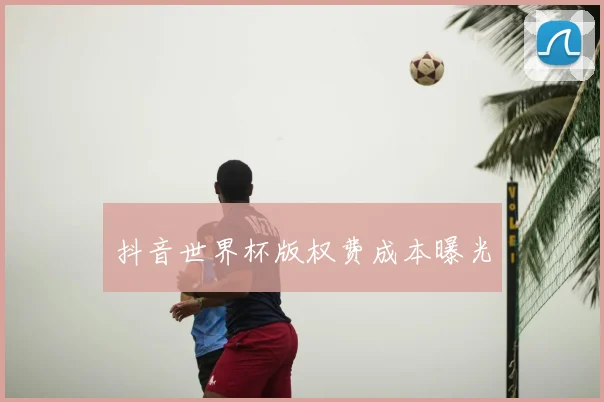 抖音世界杯版权费成本曝光