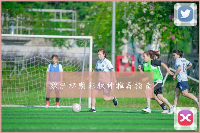 欧洲杯购彩软件推荐指南