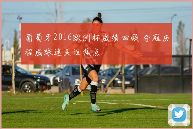 葡萄牙2016欧洲杯成绩回顾 夺冠历程成球迷关注焦点
