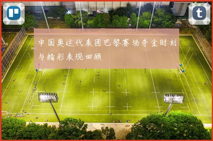 中国奥运代表团巴黎赛场夺金时刻与精彩表现回顾