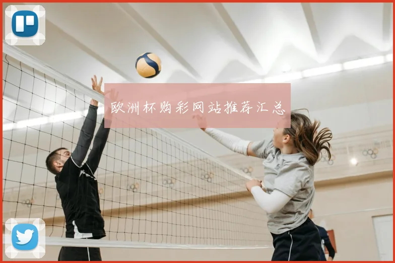 欧洲杯购彩网站推荐汇总