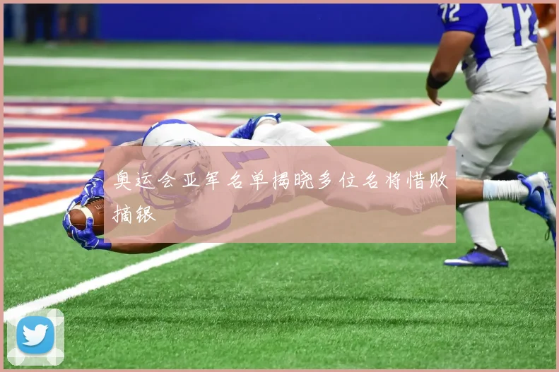 奥运会亚军名单揭晓多位名将惜败摘银