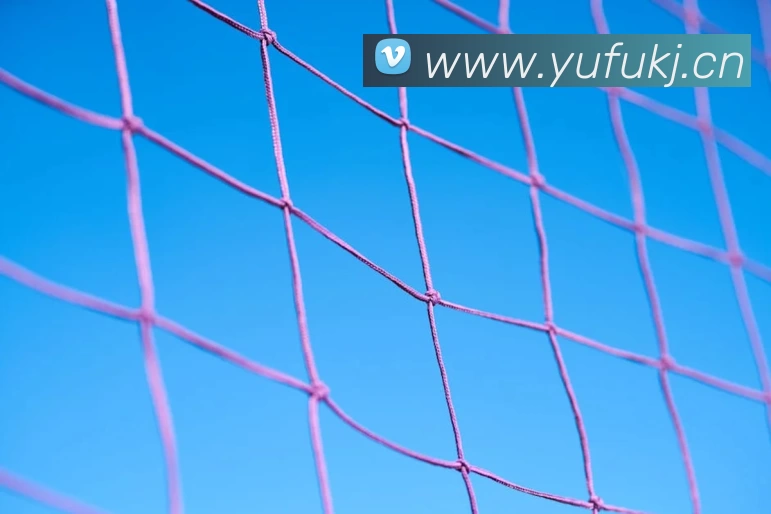 九游(NINE GAME)体育·官方网站 - 中国智慧体育科技领导者APP 封面图